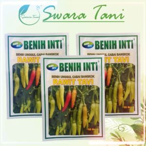 [ORIGINAL] Benih Cabe Rawit Tavi 10 gram Asli Cap Benih Inti