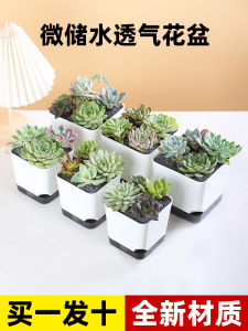 Succulent Flower Pot Plastic Large Diameter Succulent Plants Pot Personalized Creative Desktop Small Size Special Basin Special Offer Big Sale