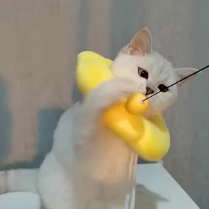 พร้อมส่ง🚗ปลอกคอสัตว์เลี้ยง ดอกไม้เหลือง ป้องกันการเลียแผล นุ่มนิ่มใส่สบาย  ปลอกคอกันเลีย คอลล่ากันเลีย รอบคอ