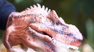 Mainan Anak: Hand Puppet Dinosaurus Tyrannosaurus / Mainan Tangan Dino / Mainan Kepala Dinosaurus