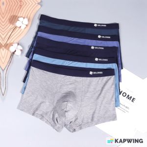 Celana Dalam Pria 2 pcs Underwear Boxer Ice Silk Ukuran L–2XL (55 – 77.5kg) 815 816 817