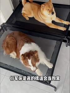Dog Marching Bed Four Seasons Universal เตียงยกพื้นสำหรับสัตว์เลี้ยง ป้องกันความชื้น สุนัขขนาดใหญ่ คอกสุนัข สุนัขขนาดเล็ก สุนัขนอน หลายขนาด แบริ่งที่แข็งแกร่งเป็นพิเศษ สามารถถือ 200 กิโลกรัม