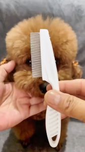 LƯỢC CHẢI VE RẬN CHO CHÓ MÈO CÁN NHỰA LƯỠI INOX