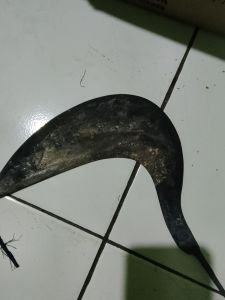 alat pemotong rumput/arit buntut original bahan asli baja cap sinar tanpa gagang.