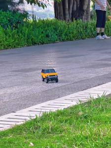 LDRC | Waterproof Remote Control Four-Wheel Drive Off-Road Model Car