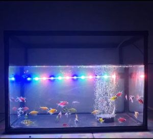 Lampu Celup 3 MODE Aquarium LED T4 Rosston Ukuran 20-60 cm Aquarium Aquascape