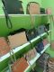FAEYZA BAGS