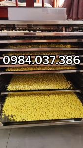 Máy sấy tinh bột nghệ tinh bột sắn dây 10 khay 40x40