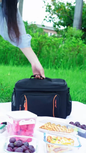 Tigernu 81196 Large-capacity picnic bag food-grade insulated cooler lunch bag portable fresh-keeping waterproof camping bag
