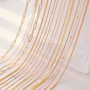 Skyrim Stainless Steel Gold Color Chain Necklace Women Minimalist Cuban Paperclip Twisted Snake Chain Fashion Jewelry Wholesale