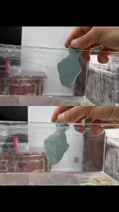 3pcs Double-sided Cleaning Sponge Whale Shaped Aquarium Sponge Suitable for Aquariums and Windows Fish Turtle Tank