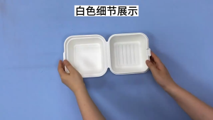 Kotak Makanan Korea & Ramah Lingkungan