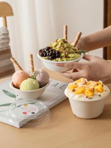 NUOXIAN | Disposable Dessert and Ice Bowl for Packing