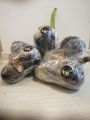 Fresh Sea Coconut | Kelapa Laut Segar (Box of 2). 