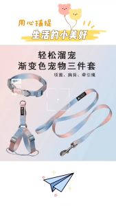 สายจูงสุนัข แมว สายจูง สีพาสเทลน่ารัก