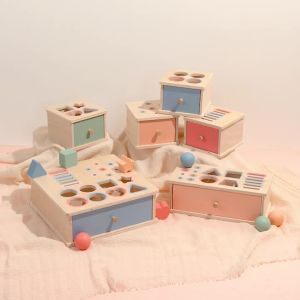 Montessori Object Permanent Box Wooden Toy Color Sorting Shape Matching Box Coins Ball Early Educational Toys Fine Motor Skill