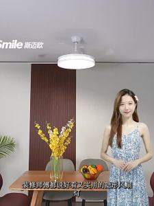 Smile | Leafless Integrated Ceiling Fan Light