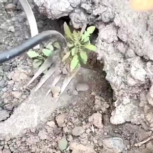 除草耙 Weeding Rake Steel Gardening Hoe Farm Tool Grasping Raking Level Loosen Soil Harrow Clean Leaves Collect Weeds