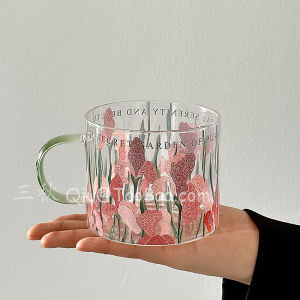 Sanq Vintage Clear Glass Mug Resistant to Heat for Coffee And Beverages Nordic Style round Cup Capacity 480ml Universal Use