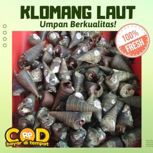 KUALITAS TERBAIK UMPAN PANCING !!! UMPAN GALATAMA LELE ( SPESIAL INDUK) KLOMANG LAUT 1 KG