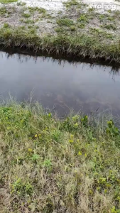 Men's Polarized Shades & Photochromic Sunglasses: A Comprehensive Guide