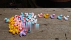 COMBO 6 chú vịt mini - Phụ kiện trang trí tiểu cảnh non bộ