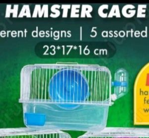 Campbell russian dwarf hamster/ small cage( NEXTDAY DELIVERY)