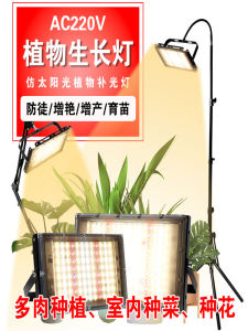 Solar LED Plant Growth Lamp Plastic Greenhouse Vegetable Green Plant Florals Seedling Day Lamp Succulent Water Plant Fill Light