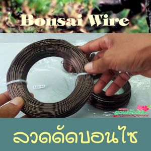 ลวดดัดบอนไซ หนัก 500 กรัม ใช้ดัดกิ่งต้นบอนไซ เข้าลวดดัดกิ่งต้นบอนไซมีหลายขนาดให้เลือก ได้แก่ ลวดดัดบอนไซเบอร์ 4