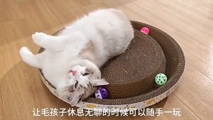 👍CHEAPEST!!!👍CAT SCRATCH BOARD Cat Scratcher board Double sided Scratching Board with Catnip Large Claw Pad Nest Bowl shape Claw-Grinding Cat Toys (Multiple Sizes)