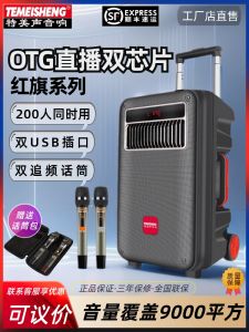 Temeisheng SL10-22 High Power Portable Outdoor Bluetooth Speaker with Microphone for Square Dancing And Karaoke