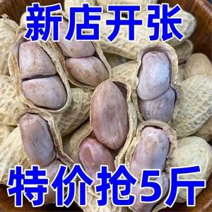 Đậu Phộng Trong Vỏ Nấu Bằng Nước Mặn và Phơi Nắng