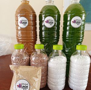 หัวเชื้อน้ำเขียวชนิดเข้มข้น(คลอเรล่า) ปลอดโรติเฟอร์ 100% ขนาด 1.5 ลิตร