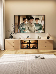 Modern Simple Style Storage TV Cabinet Shelf