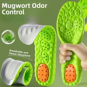 XIANZHAO | Antiperspirant Breathable Mens Shoe Inserts Military Training Sweat Absorbent Deodorant Summer Special Use Antibacterial