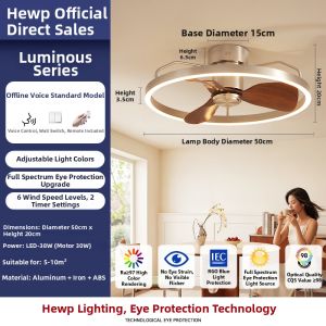 HUIPU ZHAOMING | Retro Style High Brightness Eye-Protective Dining and Bedroom Fan Light