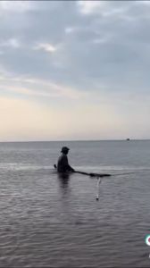 Tôm Sắt Biển Sấy Dẻo TopFreshi Size To - Tươi Ngon Tròn Vị