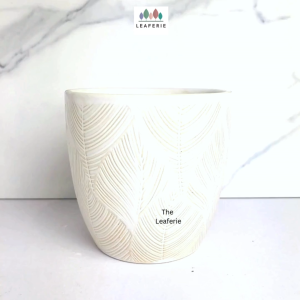 The Leaferie Lewis plant pots. Ceramic flowerpot . flowerpots . flower pot . planter . planters