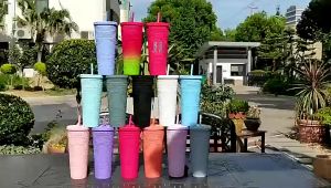 DHD 1000ML 2in1 Tumbler Reusable Straw Cup Frosted Durian Series Diamond Studded Cup