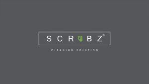 Scrubz Stainless Microfiber Flat Spray Mop