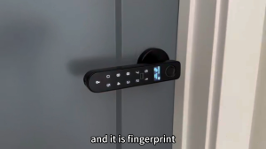 Smart Fingerprint Door Knob Lock with Display Screen Fingerprint Biometric Door Lock with Code Keypad Keyless Entry Door Handle for Bedroom Home Hotel Office Apartment