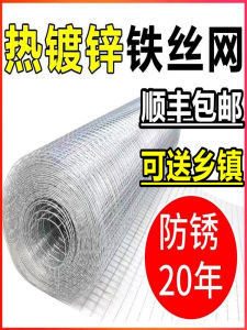 Galvanized Zinc Iron Wire Fence Outdoor Barrier for Home Use Chicken Farming Small Hole Protection Net Low Carbon Steel Wire