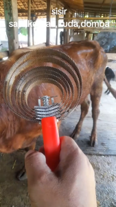 Alat Pembersih Bulu Sapi Kuda Kambing Domba | Sisir Sapi Alat Grooming Hewan