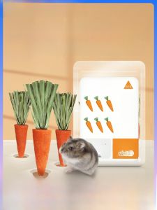 Edible Tooth Grinding Stick Carrot Biscuit Pet Toys for Hamsters Rabbits Golden Retriever Chocolate Snacks Pet Supplies