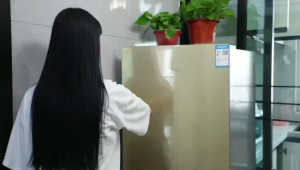 Portable Sterilizer Odour Remover for Fridge&Car Efficient Purification & Deodorisation Air purification Fast purifying Refrigerator