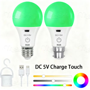 5V Rechargeable Light Bulb Remote Control Battery RGB Color Changing Temperature Dimmable Timer Function for Wireless Table Lamp