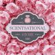 Scentsational Store