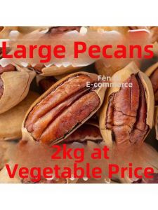 Jumbo Size Pecan Nuts 500g