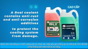 Nước làm mát động cơ Ô Tô Xe Máy GLY FORMULA Xanh/Đỏ Chai 500ML/ Can 4L