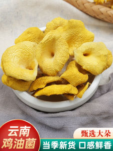  Chicken Oil Fungus Dried Goods 500g Yunnan Specialty Wild Mushroom Cuisine from Kunming Health Food Mushroom Types